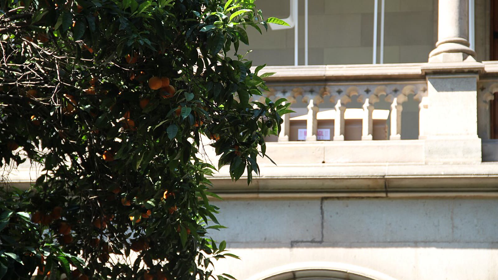 Edifício histórico da Universitat de Barcelona — trabalhar estudando na Espanha
